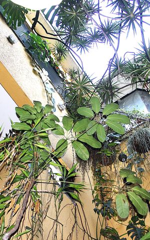 Casa à venda com 342m², 3 quartos e 2 vagasJardim