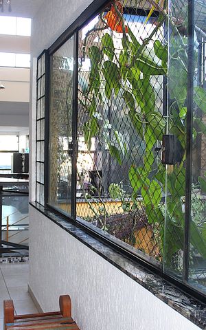 Casa à venda com 342m², 3 quartos e 2 vagasEntrada