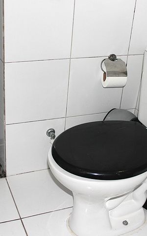 Casa à venda com 342m², 3 quartos e 2 vagasBanheiro do Estúdio