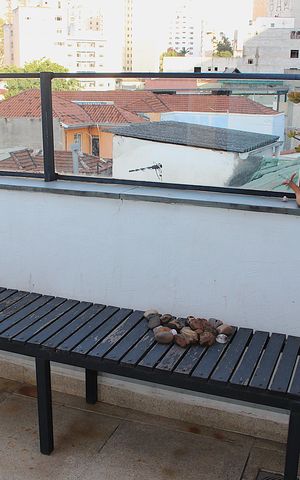 Casa à venda com 342m², 3 quartos e 2 vagasTerraço