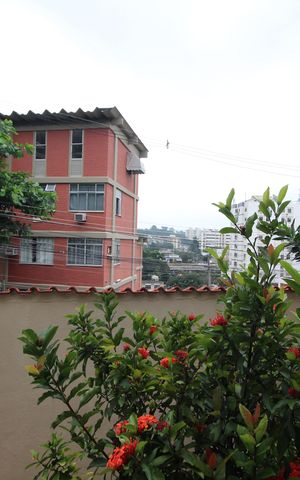Casa à venda com 251m², 3 quartos e sem vagaSala - Vista
