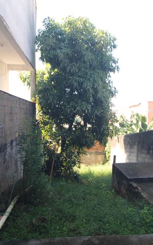 Casa à venda com 220m², 4 quartos e 2 vagasQuintal fundos da casa