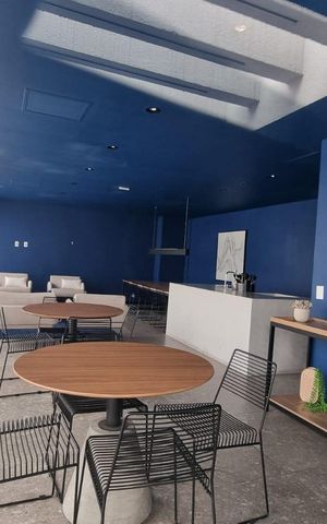 Studio para alugar com 21m², 1 quarto e sem vaga