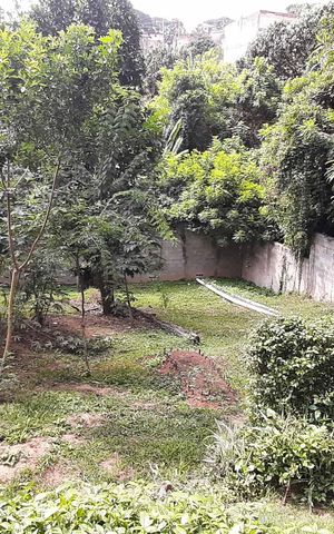 Apartamento à venda com 49m², 2 quartos e 1 vaga