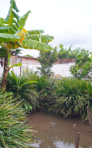 Casa à venda com 77m², 2 quartos e 1 vagaQuintal