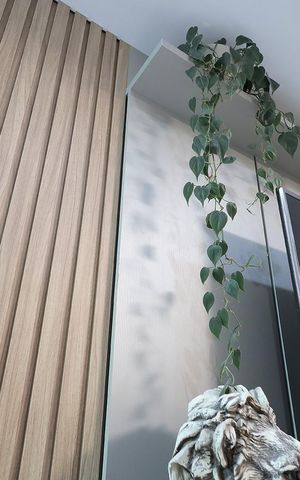 Casa à venda com 270m², 4 quartos e 2 vagas Casa à venda com 270m², 4 quartos e 2 vagasSala