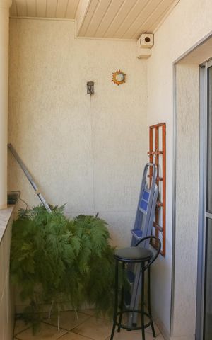 Apartamento à venda com 70m², 2 quartos e sem vaga Apartamento à venda com 70m², 2 quartos e sem vagaSacada