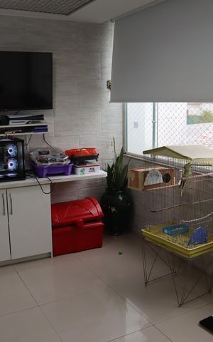 Apartamento à venda com 172m², 3 quartos e 2 vagasAREA
