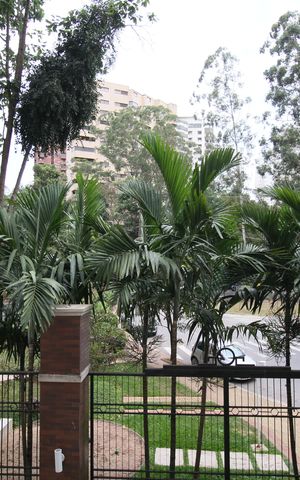 Apartamento à venda com 39m², 1 quarto e 1 vagaVista da Varanda