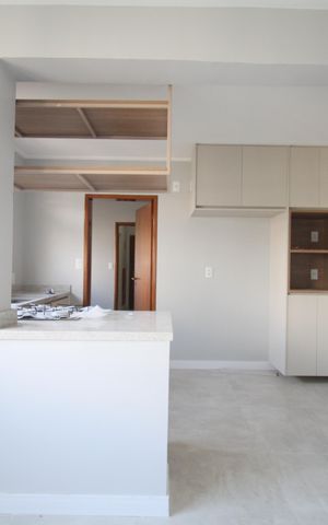 Apartamento à venda com 195m², 3 quartos e 4 vagasCozinha - Armários