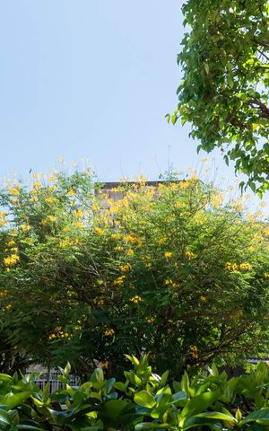 Casa à venda com 160m², 3 quartos e 1 vagaVista