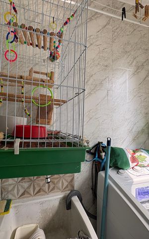 Apartamento à venda com 52m², 2 quartos e 1 vaga Apartamento à venda com 52m², 2 quartos e 1 vagaÁrea de Serviço