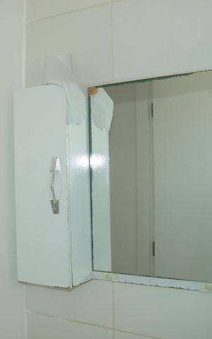 Apartamento para alugar com 47m², 2 quartos e 1 vagaBanheiro social
