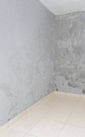 Casa à venda com 345m², 5 quartos e 2 vagasCasa 2 - deposito 