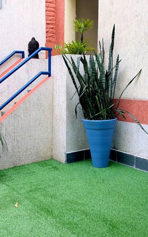 Apartamento para alugar com 50m², 1 quarto e sem vaga Apartamento para alugar com 50m², 1 quarto e sem vagaJardim