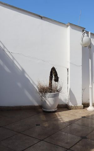 Apartamento à venda com 540m², 4 quartos e 5 vagasVaranda do Terraço
