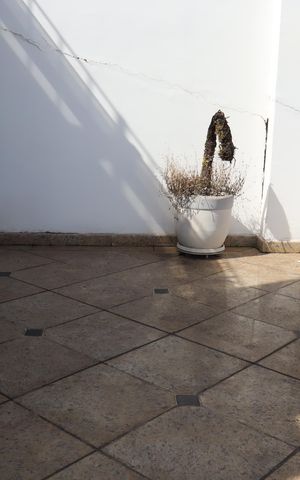 Apartamento à venda com 540m², 4 quartos e 5 vagasVaranda do Terraço