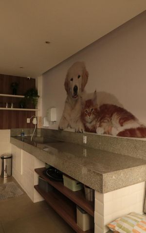 Apartamento à venda com 26m², 1 quarto e sem vagaEspaço PetEspaço Pet