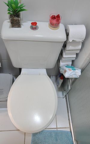 Apartamento à venda com 55m², 2 quartos e 1 vagaBanheiro