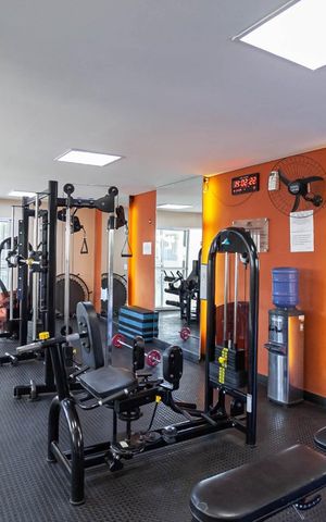 Apartamento para alugar com 70m², 2 quartos e 1 vaga Apartamento para alugar com 70m², 2 quartos e 1 vagaÁrea comum - Academia