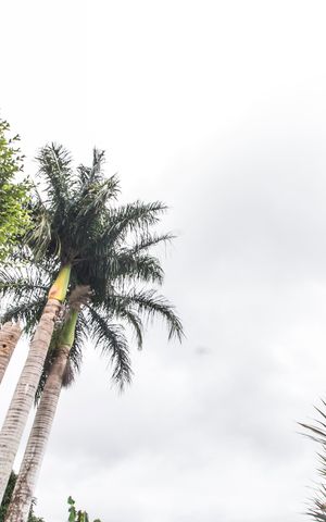 Casa de condomínio para alugar com 380m², 4 quartos e 6 vagas Casa de condomínio para alugar com 380m², 4 quartos e 6 vagasVista