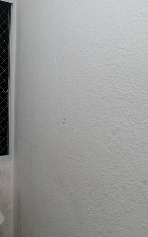 Apartamento para alugar com 42m², 1 quarto e sem vagaÁrea de Serviço