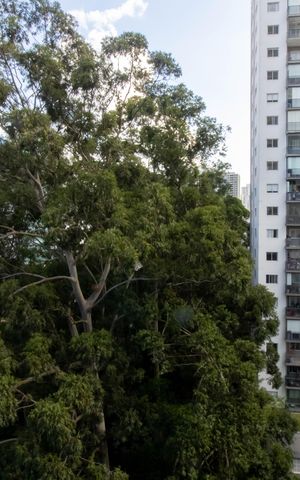 Apartamento para alugar com 100m², 3 quartos e 2 vagas Apartamento para alugar com 100m², 3 quartos e 2 vagasVista do Quarto 3