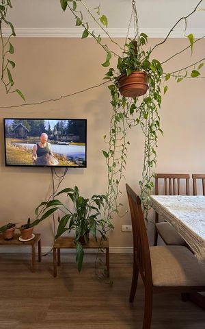 Studio para alugar com 42m², 1 quarto e sem vaga