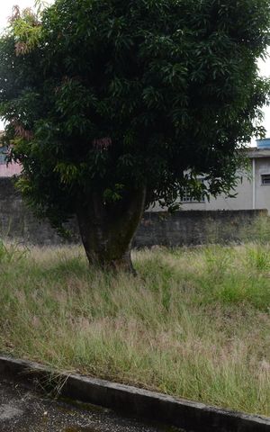 Casa à venda com 173m², 2 quartos e 1 vagaQuintal