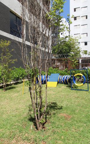 Studio à venda com 25m², 1 quarto e sem vagaÁrea Comum - Pet Place