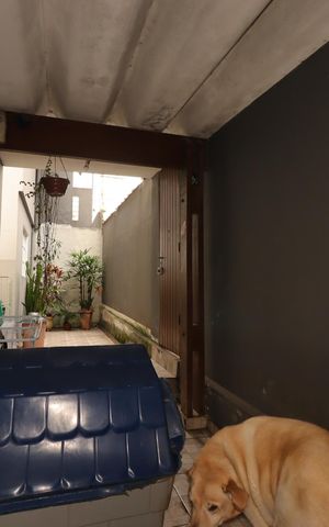 Casa à venda com 200m², 4 quartos e 2 vagasQuintal da Casa 1