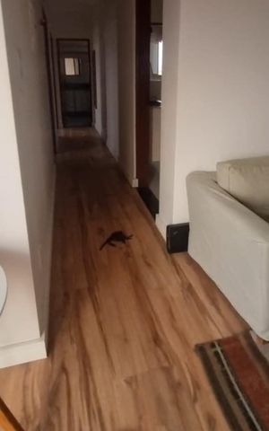 Apartamento à venda com 85m², 2 quartos e 1 vaga Apartamento à venda com 85m², 2 quartos e 1 vagaSala