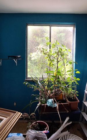 Apartamento à venda com 52m², 2 quartos e 1 vaga Apartamento à venda com 52m², 2 quartos e 1 vagaQuarto 2