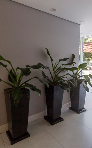 Apartamento à venda com 70m², 2 quartos e 2 vagasHall de entrada