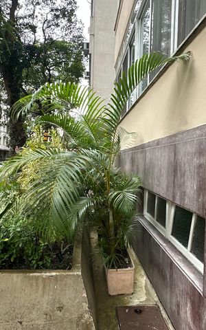 Apartamento para alugar com 69m², 2 quartos e sem vaga