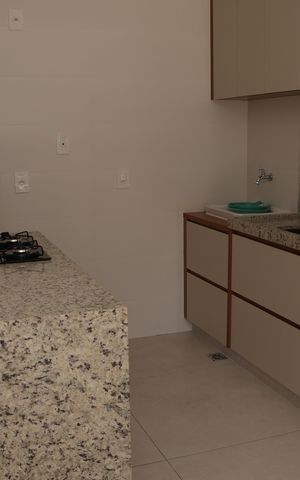 Apartamento à venda com 60m², 2 quartos e sem vagaCozinha