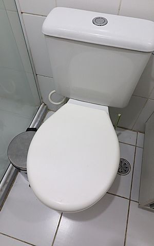 Apartamento à venda com 58m², 2 quartos e 1 vagaBanheiro 