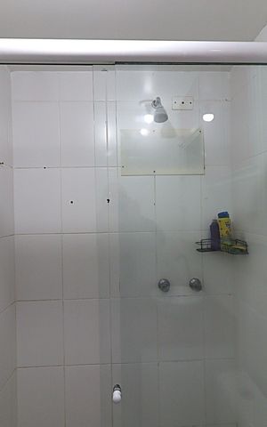 Apartamento à venda com 58m², 2 quartos e 1 vagaBanheiro 