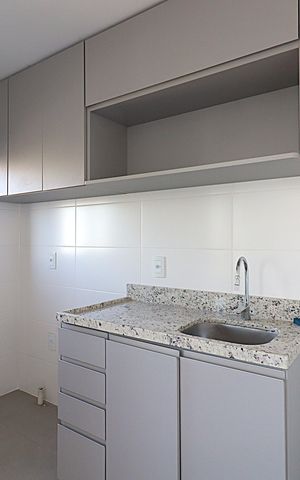 Apartamento à venda com 56m², 2 quartos e 2 vagasCozinha