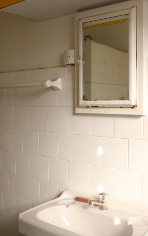 Apartamento à venda com 52m², 2 quartos e sem vagaBanheiro