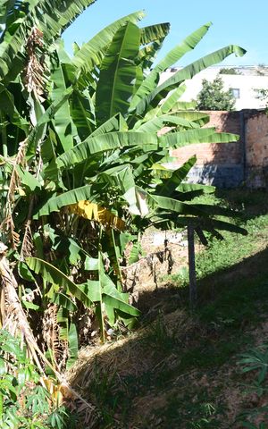 Casa à venda com 63m², 1 quarto e sem vagaÁrea externa