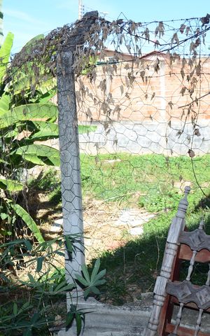 Casa à venda com 63m², 1 quarto e sem vagaÁrea externa