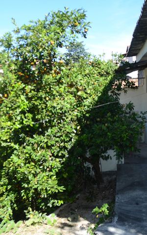 Casa à venda com 63m², 1 quarto e sem vagaÁrea externa