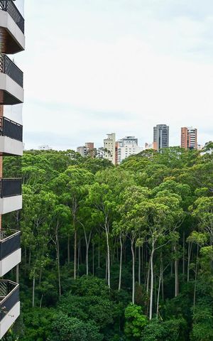 Apartamento à venda com 156m², 3 quartos e 3 vagasVista da Suíte 1