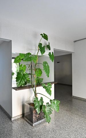 Apartamento à venda com 68m², 2 quartos e 1 vagaHall Social
