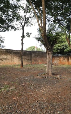 Casa para alugar com 300m², 5 quartos e 4 vagasÁrea externa