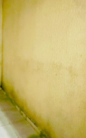 Apartamento para alugar com 64m², 2 quartos e sem vaga Apartamento para alugar com 64m², 2 quartos e sem vagaQuintal