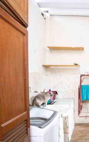 Casa para alugar com 450m², 3 quartos e 2 vagasÁrea de Serviço