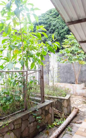 Casa para alugar com 450m², 3 quartos e 2 vagasJardim