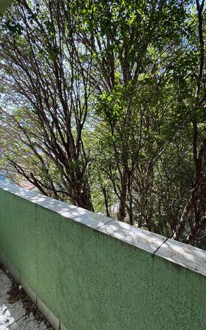 Casa à venda com 339m², 5 quartos e 3 vagas Casa à venda com 339m², 5 quartos e 3 vagasSacada